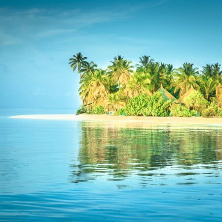 Tropical island in the Indian Ocean. White sand beach. Tropical palm trees.の写真素材