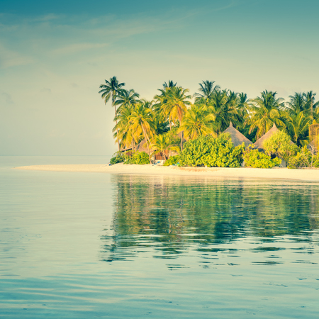 Tropical island in the Indian Ocean. White sand beach. Tropical palm trees.の写真素材