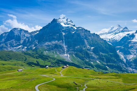 Vertical panorama of the Alps and meadows with wild mountain flowers. ?egion Grindelwald.の写真素材