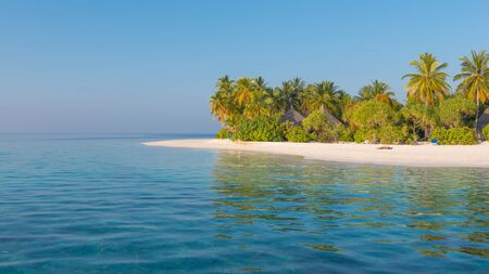 Panorama of tropical island Beach with palm treesの写真素材