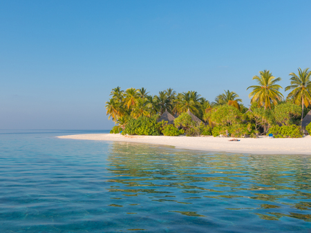Panorama of tropical island Beach with palm treesの写真素材