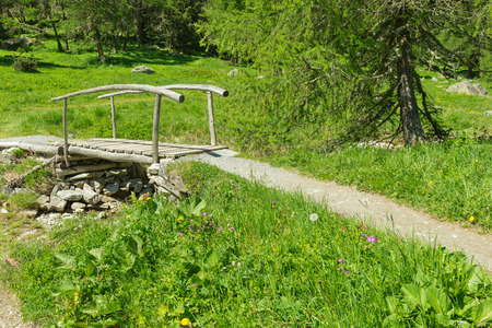 Gorgeous meadow of wild flowers of the Swiss Alps in the Grisons. The path along the field leads to a wooden bridge over a small lake and creek. Bright summer day.の写真素材