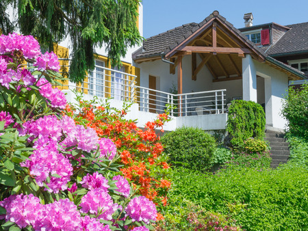 Bushes and flowers in the garden summer house, residence.のeditorial素材