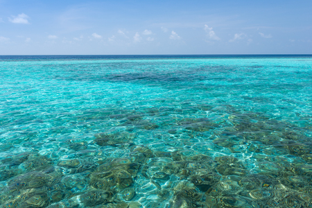 Panorama of tropical island resort. Clear turquoise ocean seen corals.の写真素材