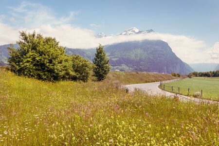 Road along the blooming meadows with flowers. Mountain peaks in the snow. Switzerland.
