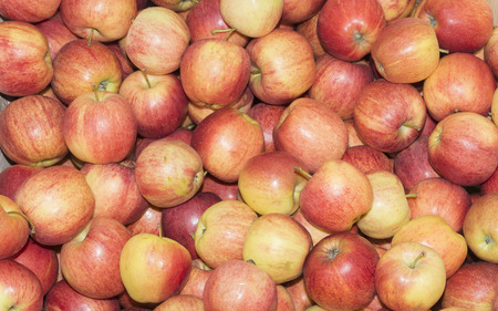 Apples in large quantities scattered in the drawer.の写真素材