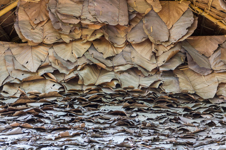 Thatch Background thai style Closeupの写真素材