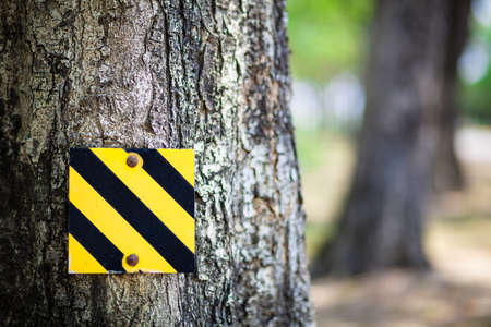A road signの写真素材