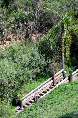 Wooden bridge over the river in the shade of the trees.の写真素材