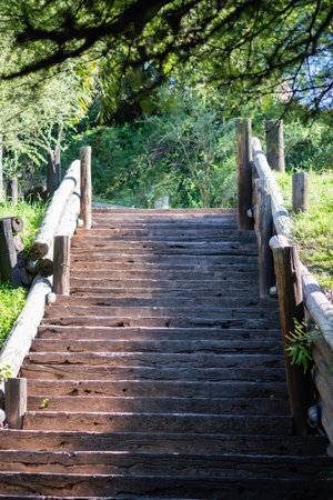 Wooden stairs in the park. The concept of a healthy lifestyle.の写真素材