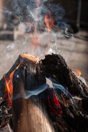 Closeup of burning firewood in a campfire. Select focus.