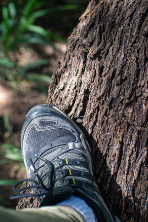Close up of trekking shoes on a tree in the forest.の写真素材