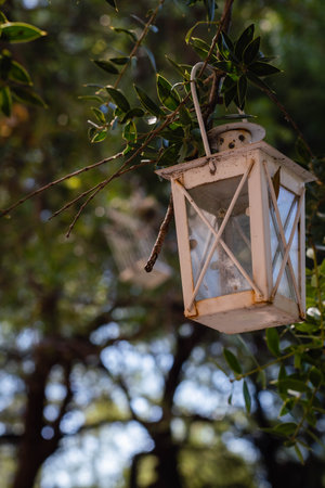 Lantern hanging on a tree in a garden. Select focus.の写真素材