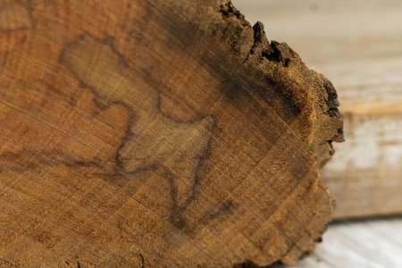 Wooden texture, closeup of a piece of wood. nature background