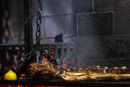 grilled meat with lemon on the fire in the fireplace, close-upの写真素材