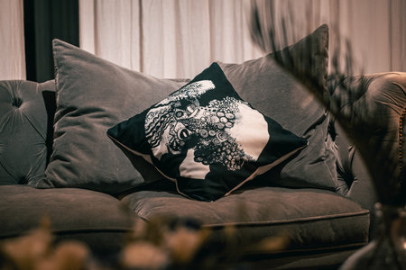 black and white pillows on the sofa in the living room.の写真素材