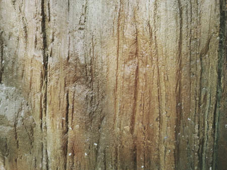 Wood pattern background for concept designの素材