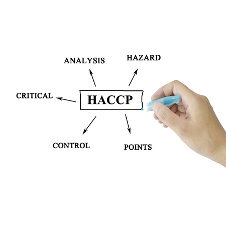 women hand writing meaning of HACCP concept (Hazard Analysis of Critical Control Points) on green background for used in manufacturing. (Training and Presentation)の写真素材
