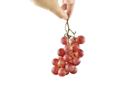 Hand holding red grape on white background 