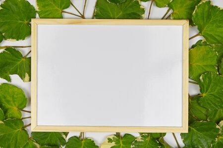 Empty wooden picture frame placed on a green leaf background with copy space.の写真素材