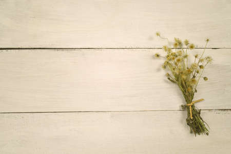 Dried flower on wood background. top view. copy space.の写真素材