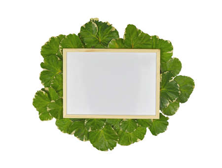 Empty whiteboard in wooden frame on green leaf with copy space.