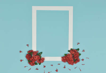 White frame decorated with red spike flowers on the side. Top view. copy space.の写真素材
