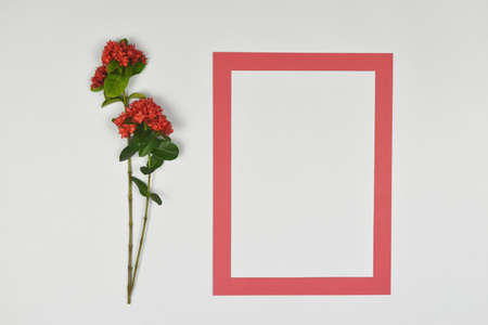 White frame decorated with red spike flowers on the side.の写真素材