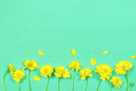 Flowers composition. Yellow flowers on green background. Spring, summer concept. top view, copy space.の写真素材