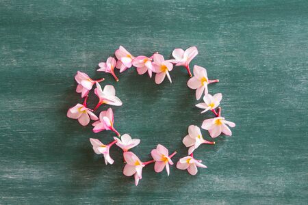 circle of plumeria and chalkboardの写真素材