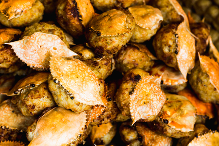 many bake crabの写真素材