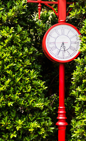 Red clock pole vintage style with green bush backgroundの写真素材