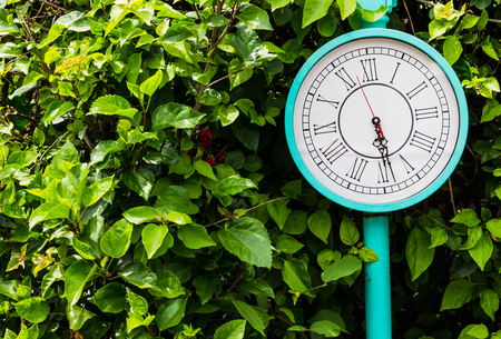 Blue clock pole vintage style with green bush backgroundの写真素材