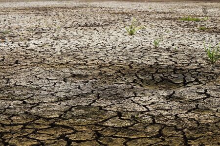 A land that is arid, soil is broken or will be the end of this world. This is the result of human...