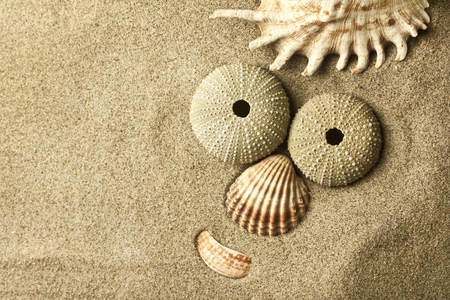 funny face in the sand, empty space left sideの写真素材