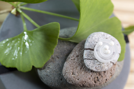 remedies alternative medicine with plantsの写真素材