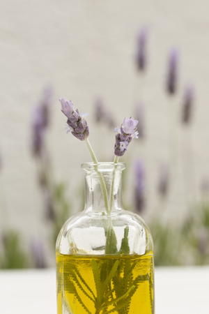 A bottle of essential oil with fresh lavender twigs on a white backgroundの写真素材