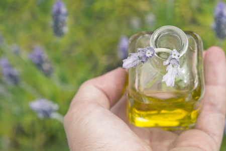 A bottle of essential oil with fresh lavender in a handの写真素材