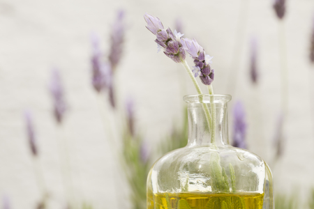 A bottle of essential oil with fresh lavender twigs on a white backgroundの写真素材