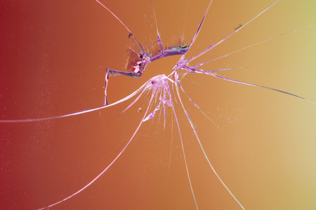broken glass background texture