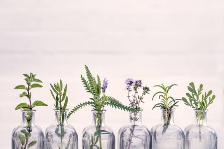 Bottle of essential oil with herbs  oregano, rosemary, lavender flower, Rue herb ,thyme  set up on white background.の写真素材