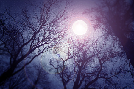 Dark enchanted photo of a full moon in the trees branches background. Blue and violet fairy-tale colorsの写真素材