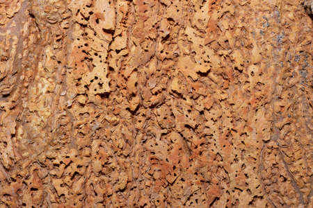 close up to brown textureの写真素材