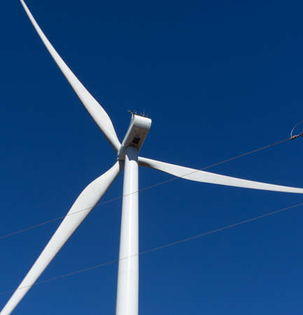 view of a wind tower in a sunny day with blue sky