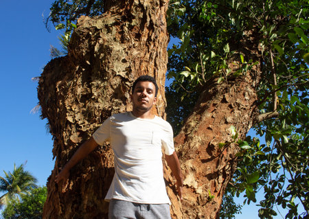 Man holding the trunk of a large tree in a sunny dayの写真素材