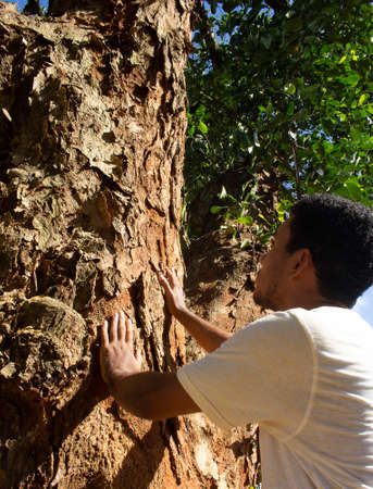 Man holding the trunk of a large tree in a sunny dayの写真素材