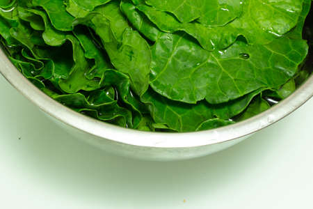 Cabbage leaves inside a bowl of stainless steel on a white backgroundの写真素材