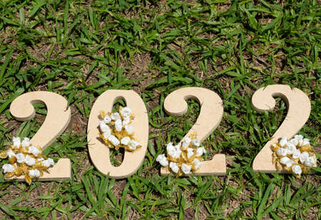 a light wooden sign with white and gold flowers written 2022 on a green grass.