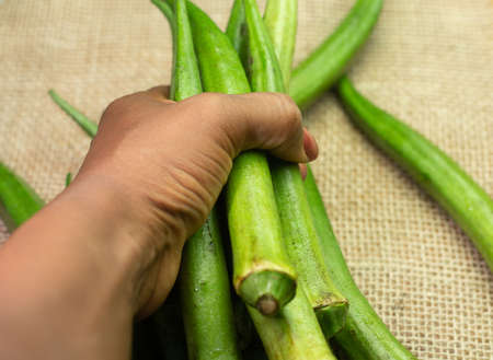 Hand holding a piece of okra in a white bowl on a table