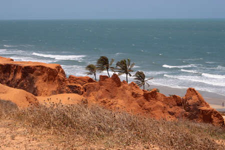 beautiful landscape of beach with three coconut treesの写真素材